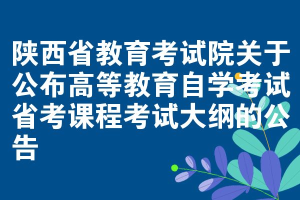 陕西省教育考试院关于公布高等教育自学考试省考课程考试大纲的公告