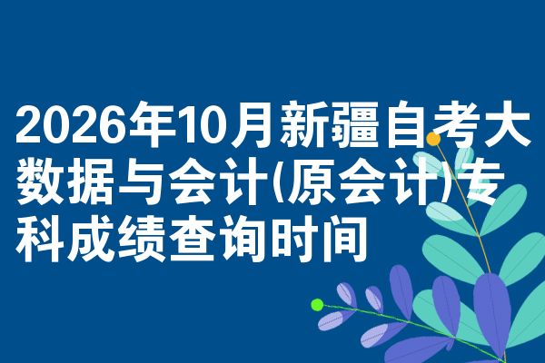 2026年10月新疆自考大数据与会计(原会计)专科成绩查询时间