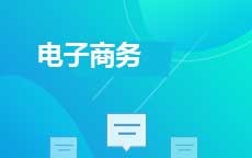 电子商务(28年停考)