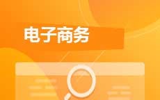 电子商务(28年停考)