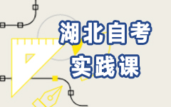 湖北自考實踐