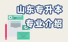 山东专业介绍