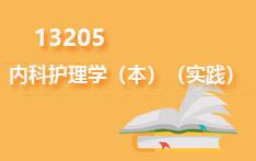 13205内科护理学(本)(实践)