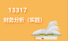 13317财务分析(实践)