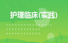 11369护理临床(实践)