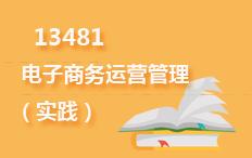 13481电子商务运营管理(实践)