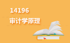 14196审计学原理