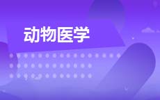 动物医学