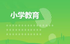 小学教育(2026年启用)