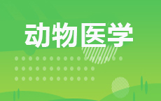 动物医学(2026年启用)