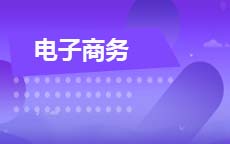 电子商务(2025年启用)