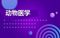 动物医学(2025年启用)