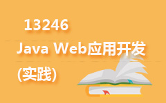 13246Java Web应用开发(实践)