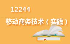 12244移动商务技术(实践)