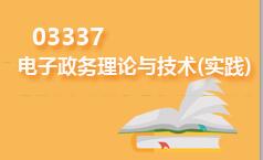 03337电子政务理论与技术(实践)