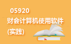 05920财会计算机使用软件(实践)