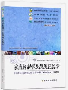 02765家畜解剖及组织胚胎学自考教材