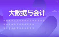 大数据与会计(2026年启用)
