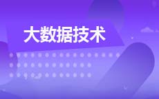 大数据技术(2025年10月启用)
