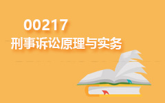 00217刑事诉讼原理与实务