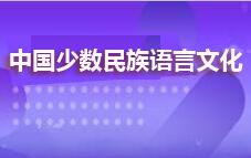 中国少数民族语言文化