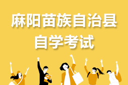 麻阳苗族自治县自考