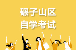 碾子山区自考