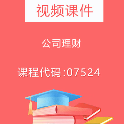 07524公司理财视频课件