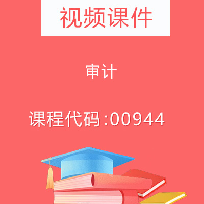 00944审计学视频课件