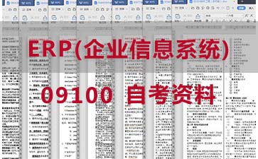 自考ERP(企业信息系统)复习资料_09100自考考试资料购买》封面图