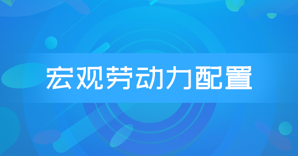 宏观劳动力配置(广东特训)