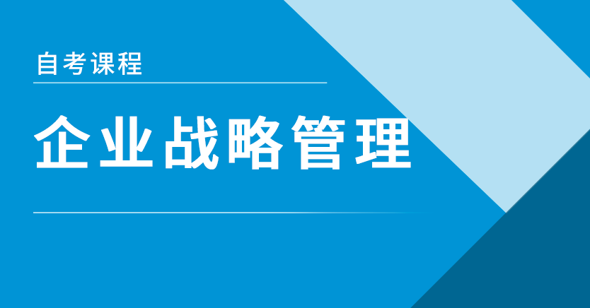 企业战略管理(天津押题)